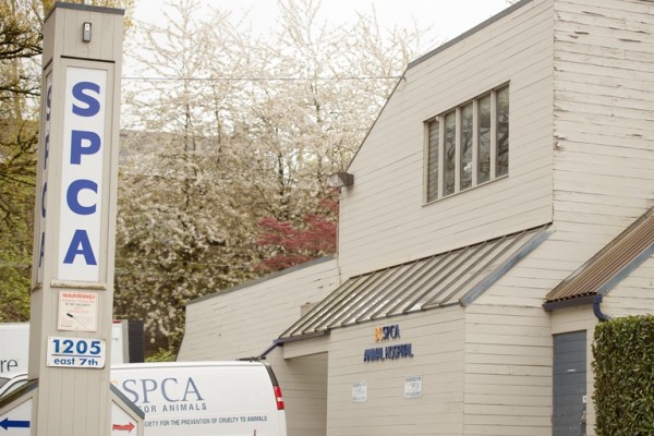 You can find us at 1205 E 7th Avenue, in the same complex as the BC SPCA Vancouver Branch!